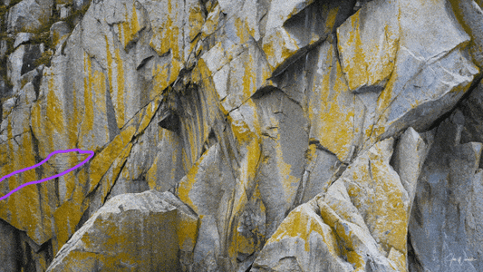 Yellow Abstract - What Do You See?